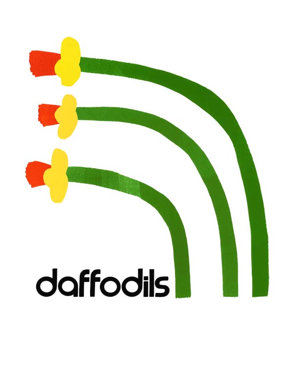 Daffodil