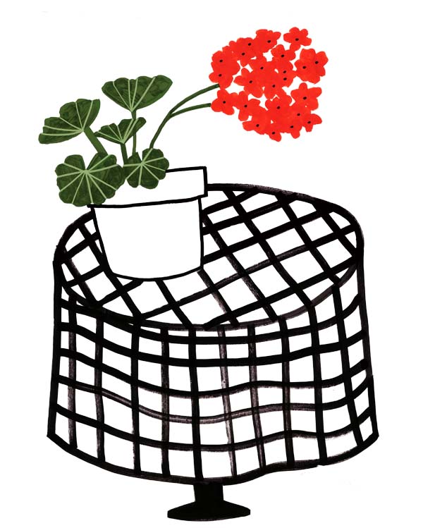 Geraniums