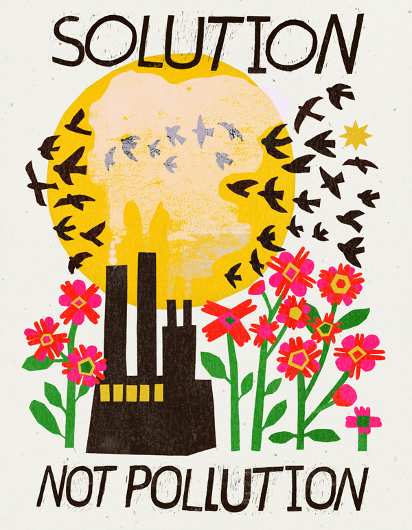 Solution Not Pollution