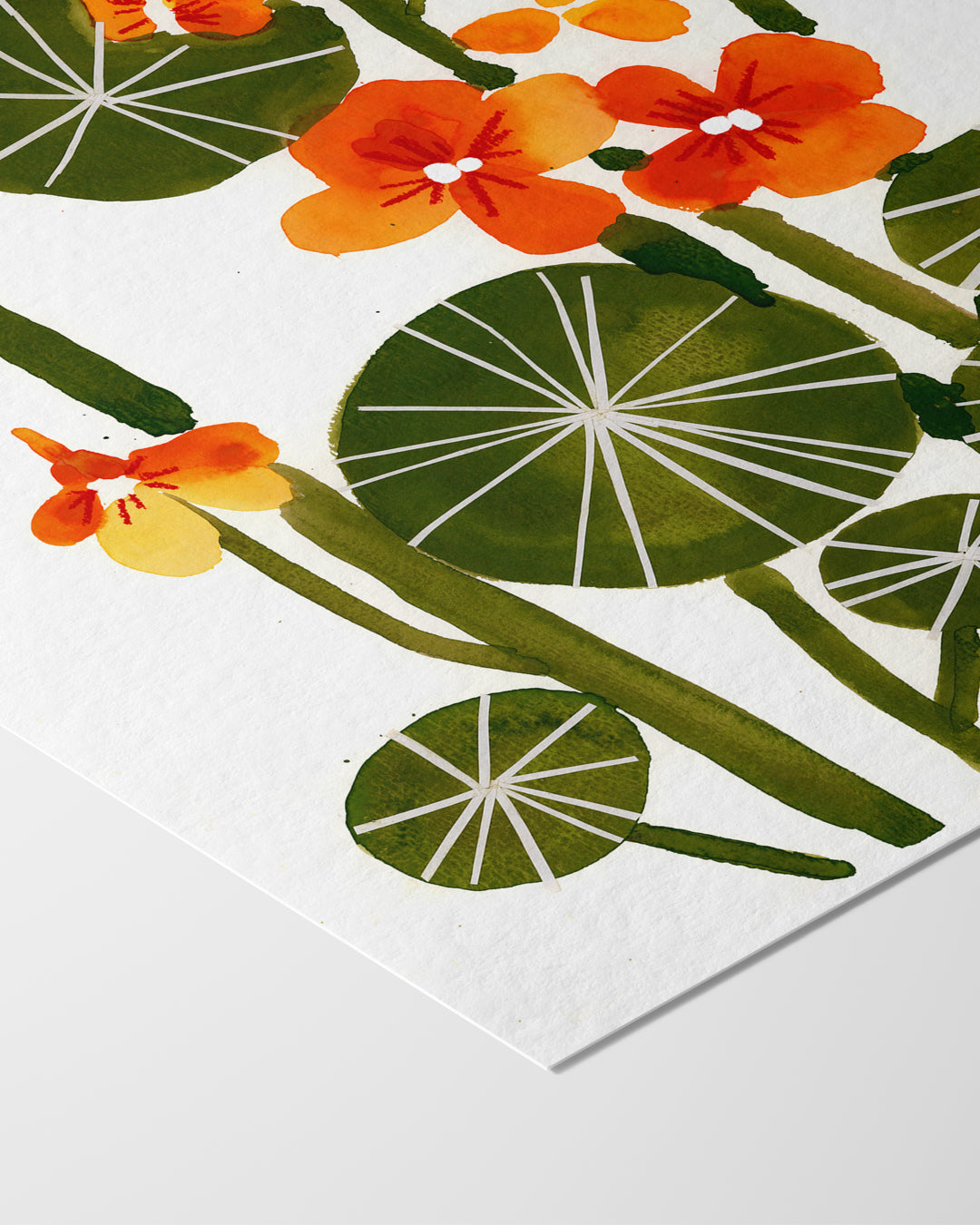 Nasturtium Print