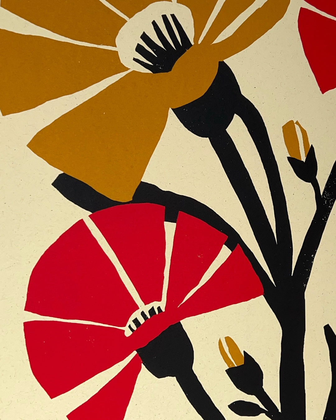 Wilco + Waxahatchee Concert Poster – San Antonio, May 6, 2025