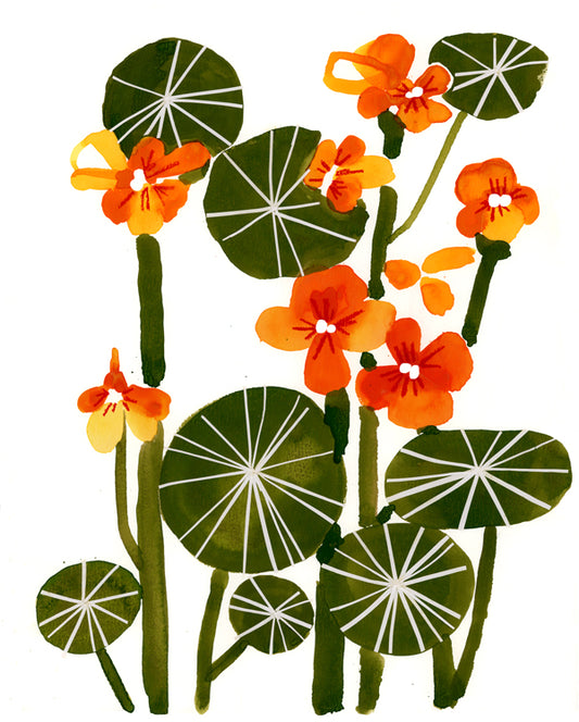 Nasturtiums